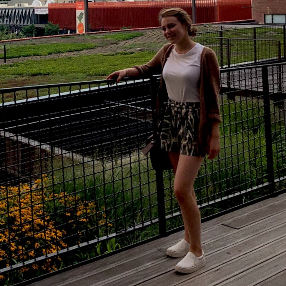 J. Crew Paper Bag Shorts